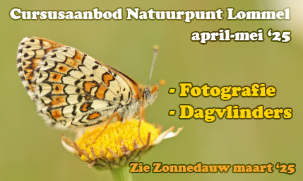 Foto:Natuurpunt